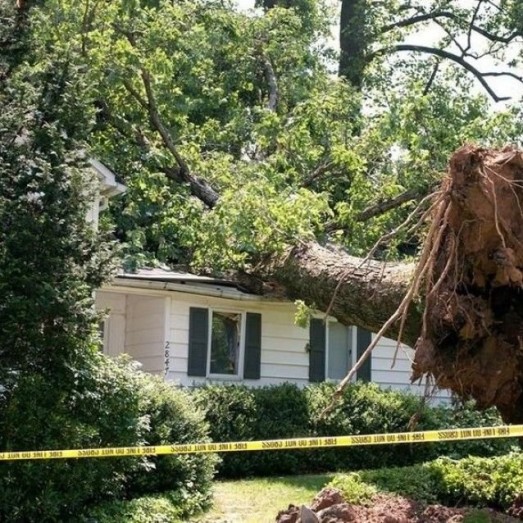 Storm, Wind Damage Repair Services in Parker, CO